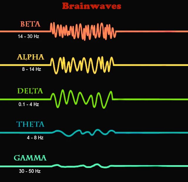 Альфа волна и тета волна. Мозговые ритмы Альфа, бета, тета, Дельта, гамма. Ритмы головного мозга частоты волны. Альфа бета гамма Дельта волны мозга.