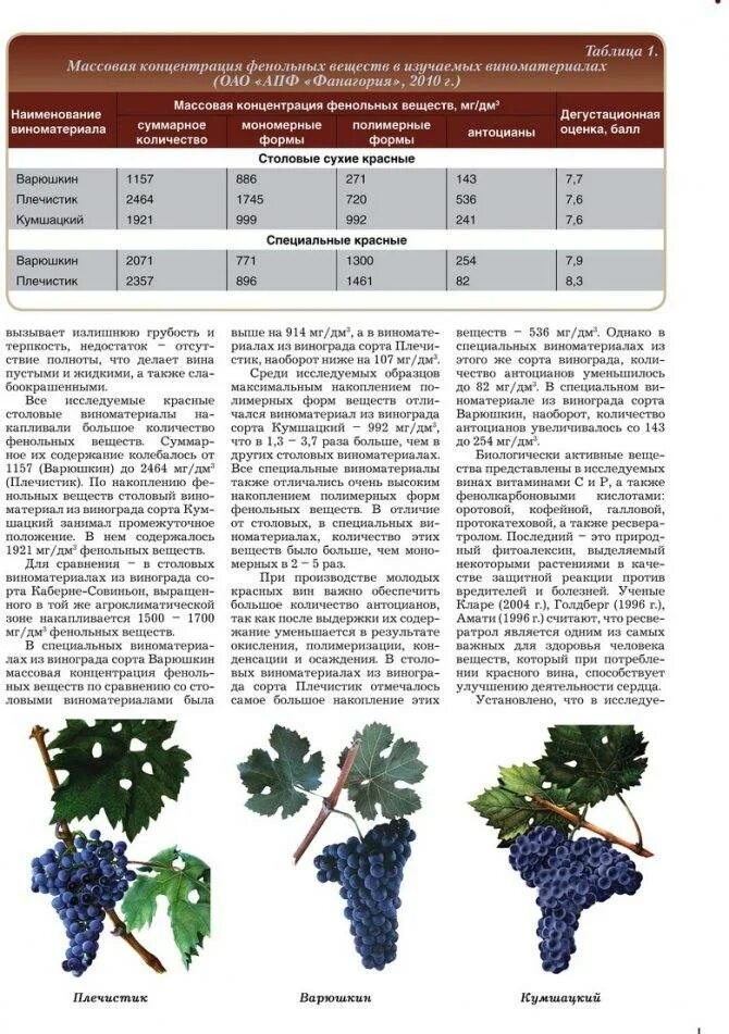 Какие сорта винограда для вина. Сорт винограда автохтонные сорта. Сорт винограда Фаэтон. Каберне Совиньон характеристика сорта винограда. Таблица сортов винограда с характеристиками.