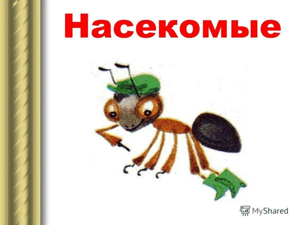Муравей вопросик окружающий мир 1 класс. Муравей вопросик и мудрая черепаха. муравьишка вопросик и мудрая черепаха. умная черепаха и муравей вопросик. муравьишка вопросик из окружающего мира.