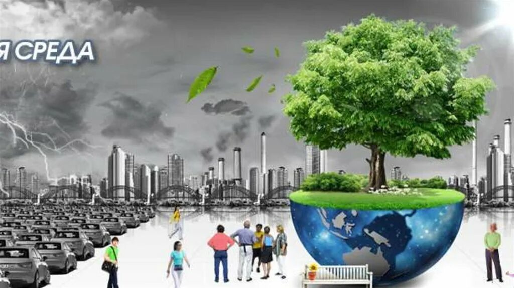 экология. внешние условия окружающей среды. внешние условия окружающей среды. факторы внешней среды на организм. внешние условия окружающей среды.