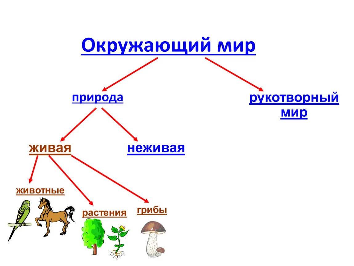 Царство живой природы классификация схема. Живая и неживая природа. Окружающий мир Живая и неживая природа. Царства живой и неживой природы.