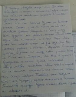 Сочинение кладовая