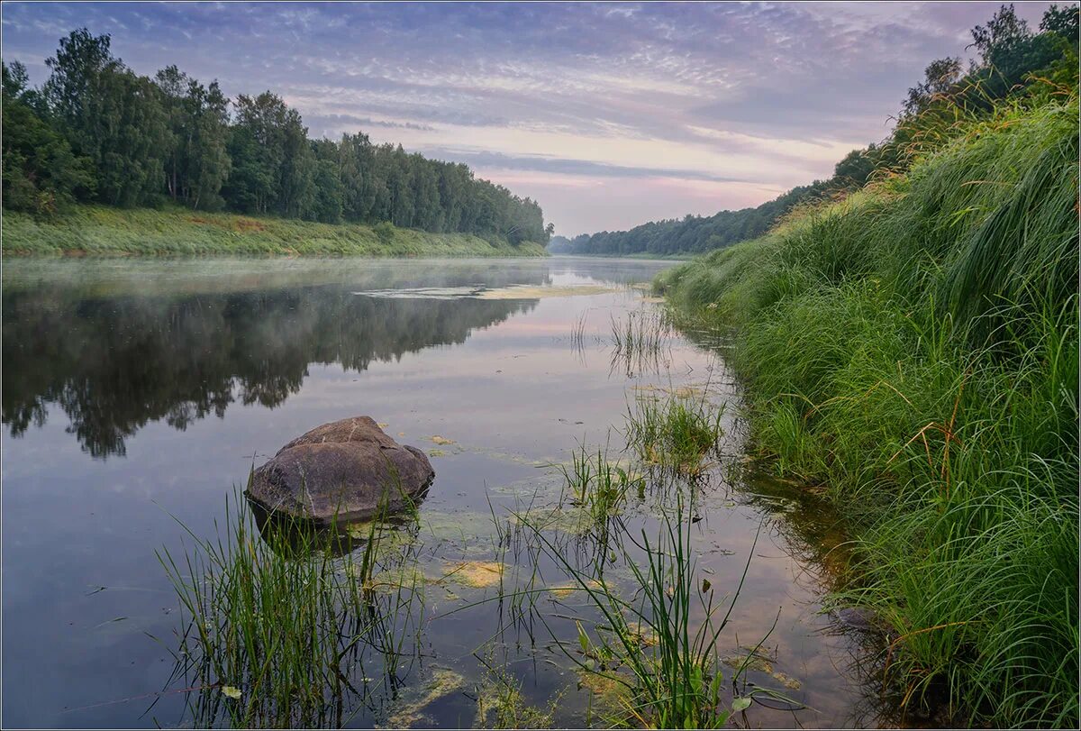 Река Даугава Западная Двина. Белоруссия Западная Двина река. Река зап Двина. Река Двина Беларусь.