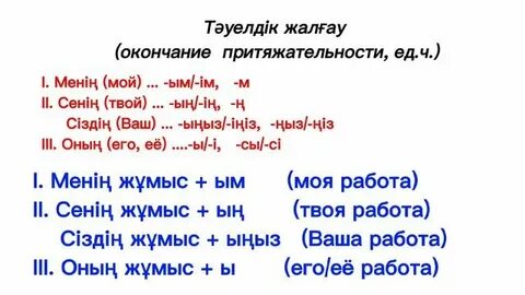 Жігіттің түкті ұзын шарлары