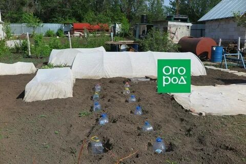 Огород защита