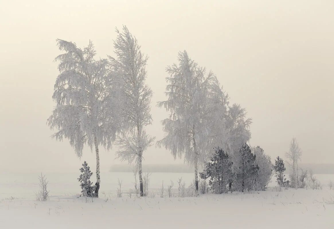 Зима разлука. Красивая метель. Метель кружит. Зима метель. Снежная метель.