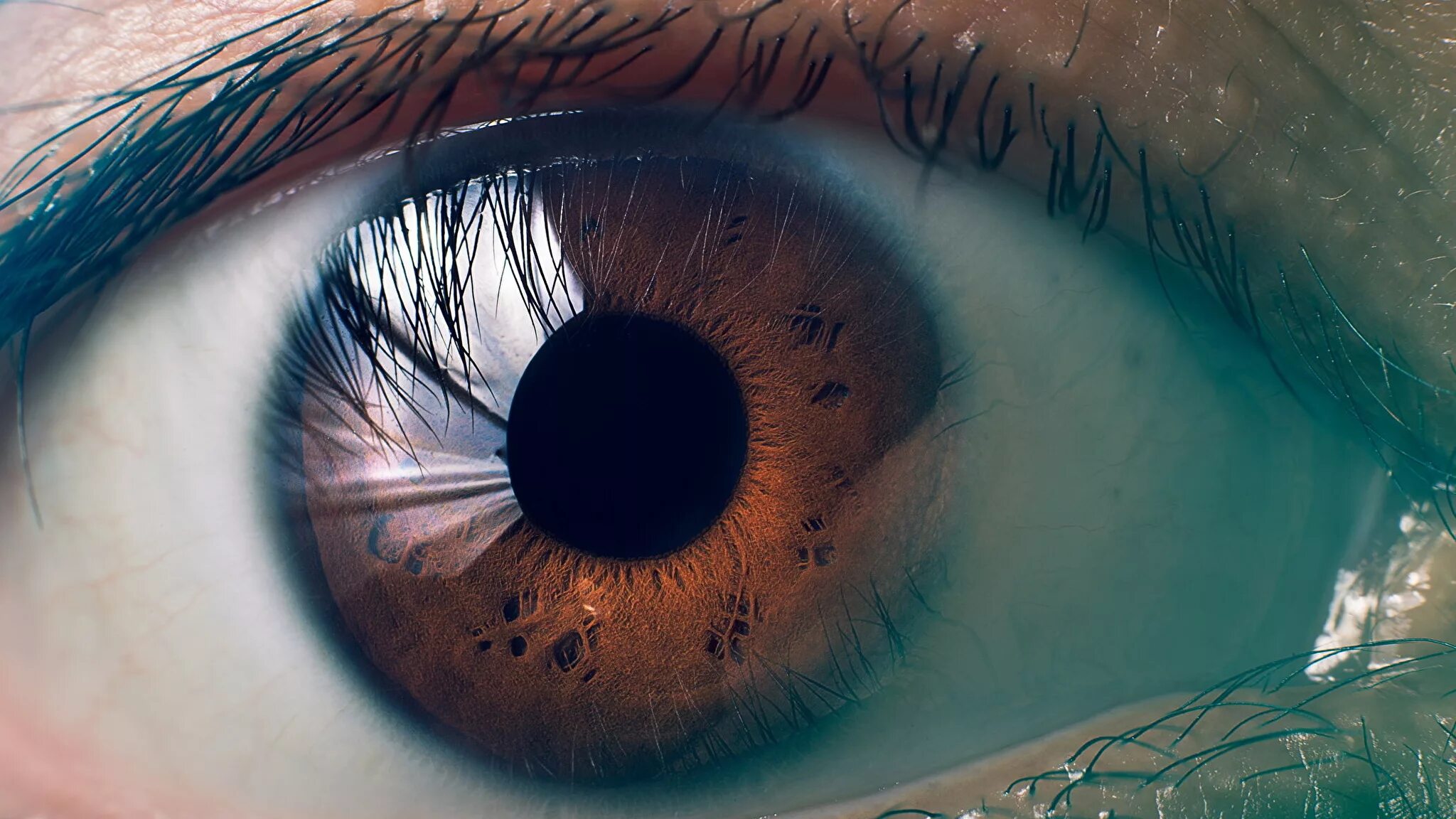 Глаза громадные как. Человеческий глаз. Макросъемка глаза. Красивые глаза. Глаз крупным планом.
