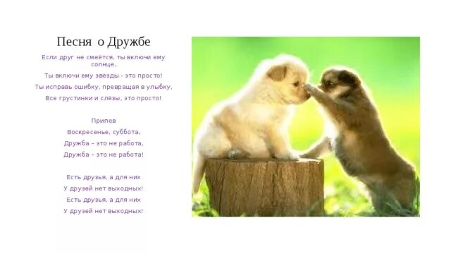 Воскресенье суббота дружба это не работа. Если друг не смеётся ты включи ему солнце. Воскресенье суббота дружба это не работа. Не забывайте друзей текст. Есть друзья а для них нет выходных.