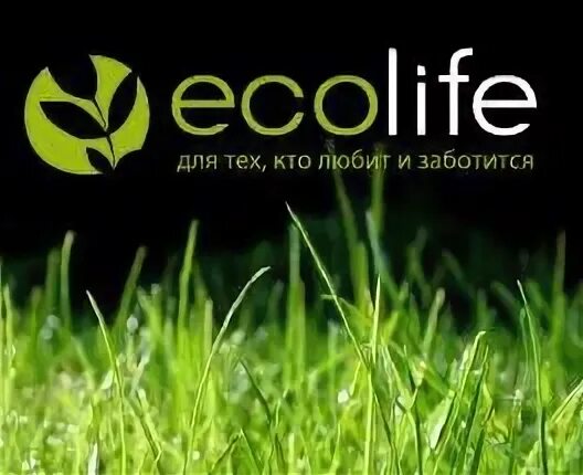 Eco life 1.31 f. ЭКОLIFE. Эколайф фото. Лайф Киров. ООО Эколайф Саранск.