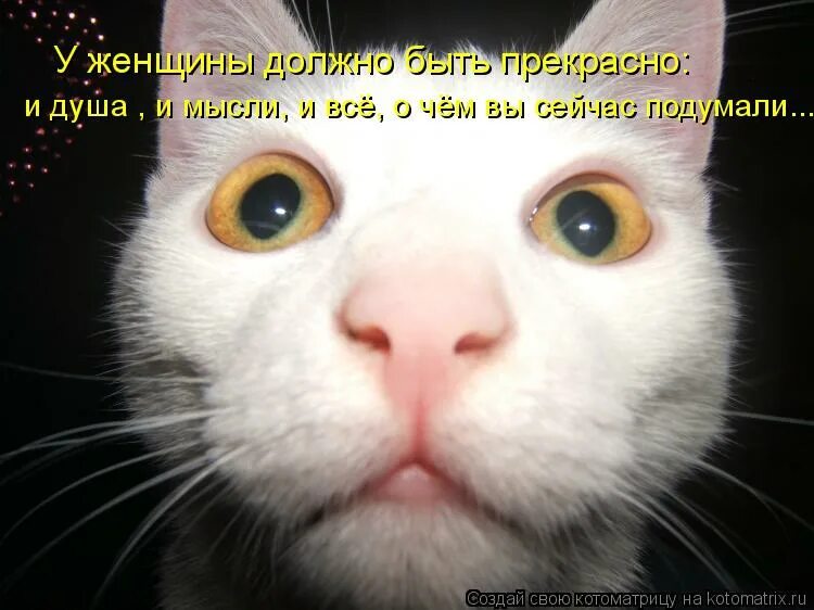 Простоквашино мем. Важный день. Какие могут быть доказательства. Сейчас подумаю. Сейчас подумаю.