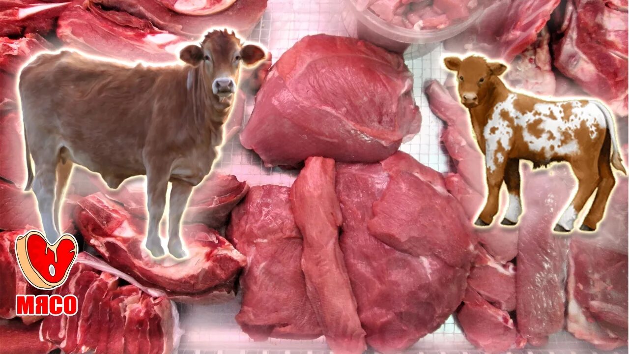 Телятина и говядина разница. Мясо телятина. Как отличить телятину от говядины. Как отличить телятину от говядины. Как отличить телятину от говядины.