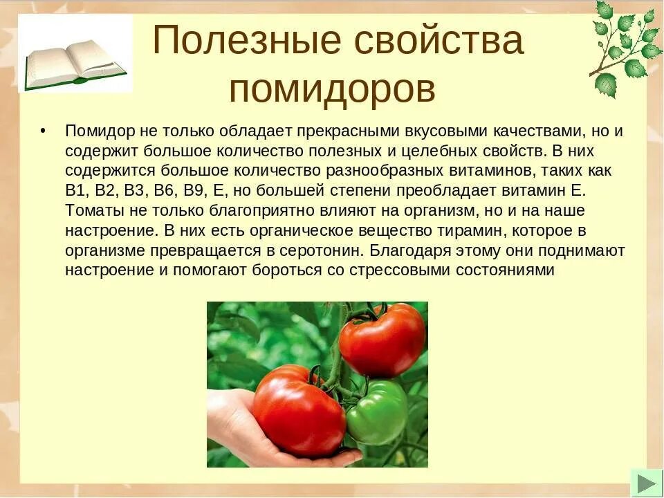 Сколько соли в свежих помидорах. Чем полезны помидоры. Какие витамины в прмилоре. Какие витамины в Помдор. Витамины в помидорах.