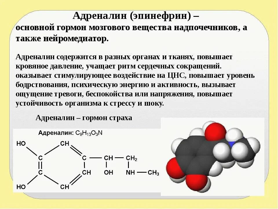 Адреналин причины. Гормон адреналин синтезируется в. Адреналин химическая структура. Эпинефрин гормон. Адреналин выделяется.