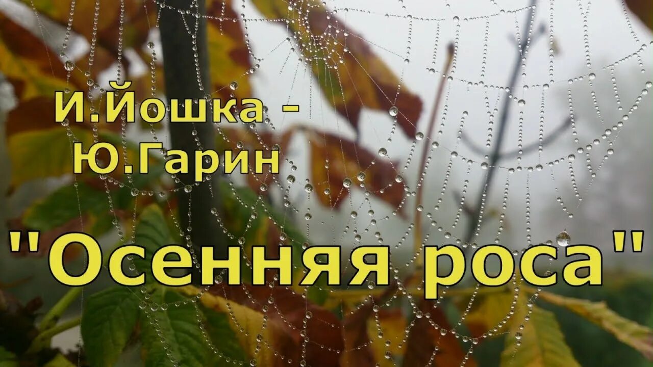 Песня осенняя роса в исполнении. Осенняя роса. романс осенняя роса. осенняя роса песня.