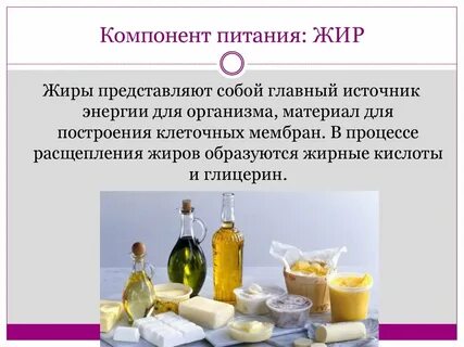 Жиры в организме являются обязательной составной частью