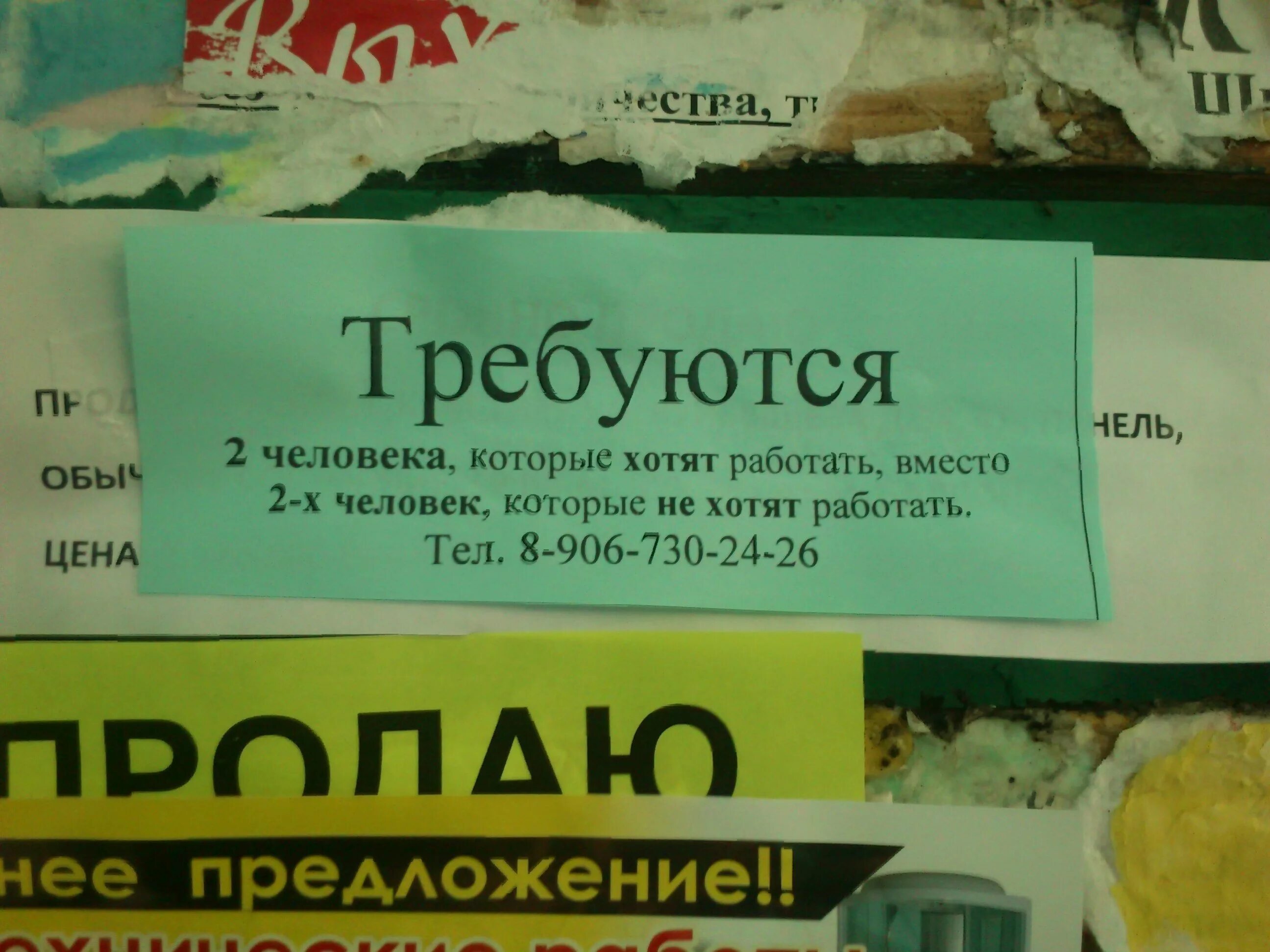 Бестолково предложение. Смешные предложения работы. Смешные объявления о работе. Смешные объявления отраьоте. Объявление о работе прикол.