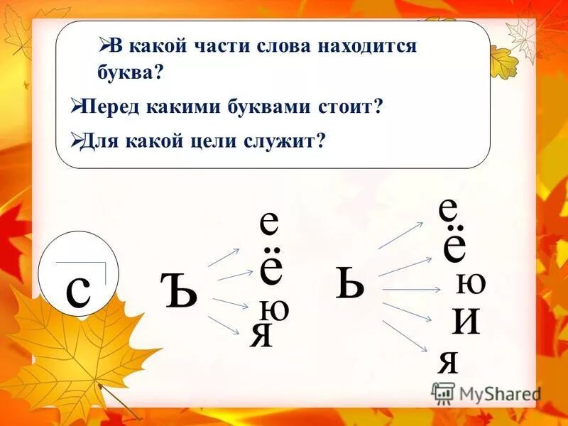 Какая буква стоит перед л. Какая буква. В какой части слова буква. Какая буква какая буква. Директор с какой буквы