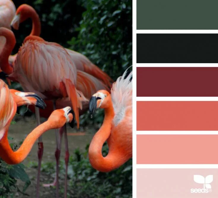 Color Creature Дизайн семена, Цветовые схемы красок, Цветовые палитры