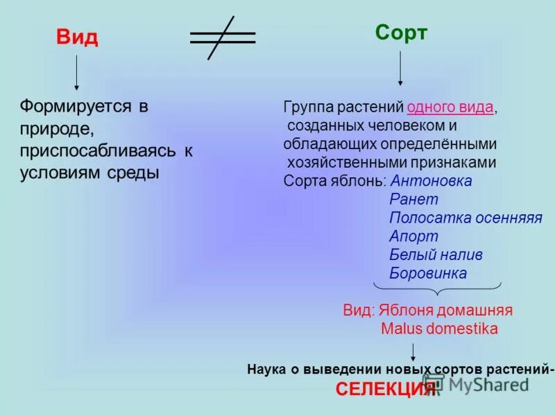 Сорт это группа растений. Сорт "а". Полевые культуры культурные растения. Виды сортов растений. Сорт это группа растений.