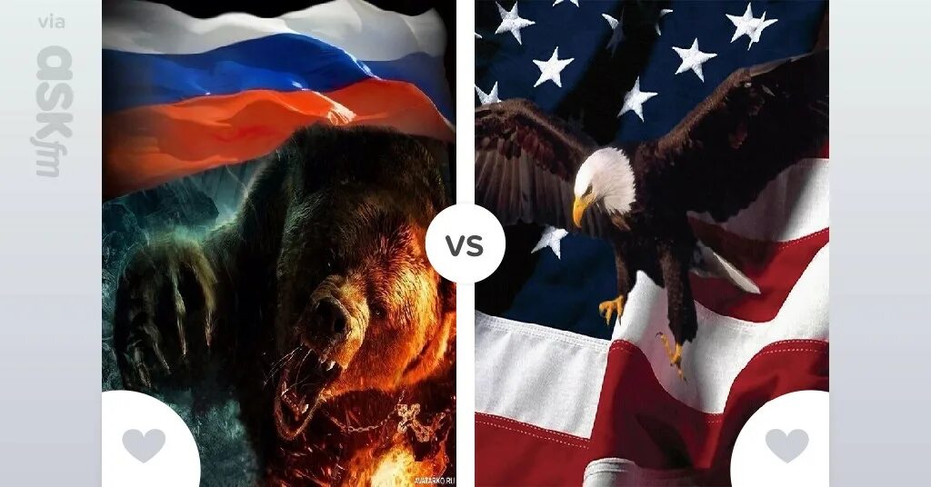 Включи против россии. Медведь в Америке и в России. Россия и Америка. Россия vs Америка. Против Америки.
