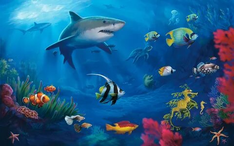 sharks, fish, animal, shark, colors, turtle, underwater desktop HD wallpape...