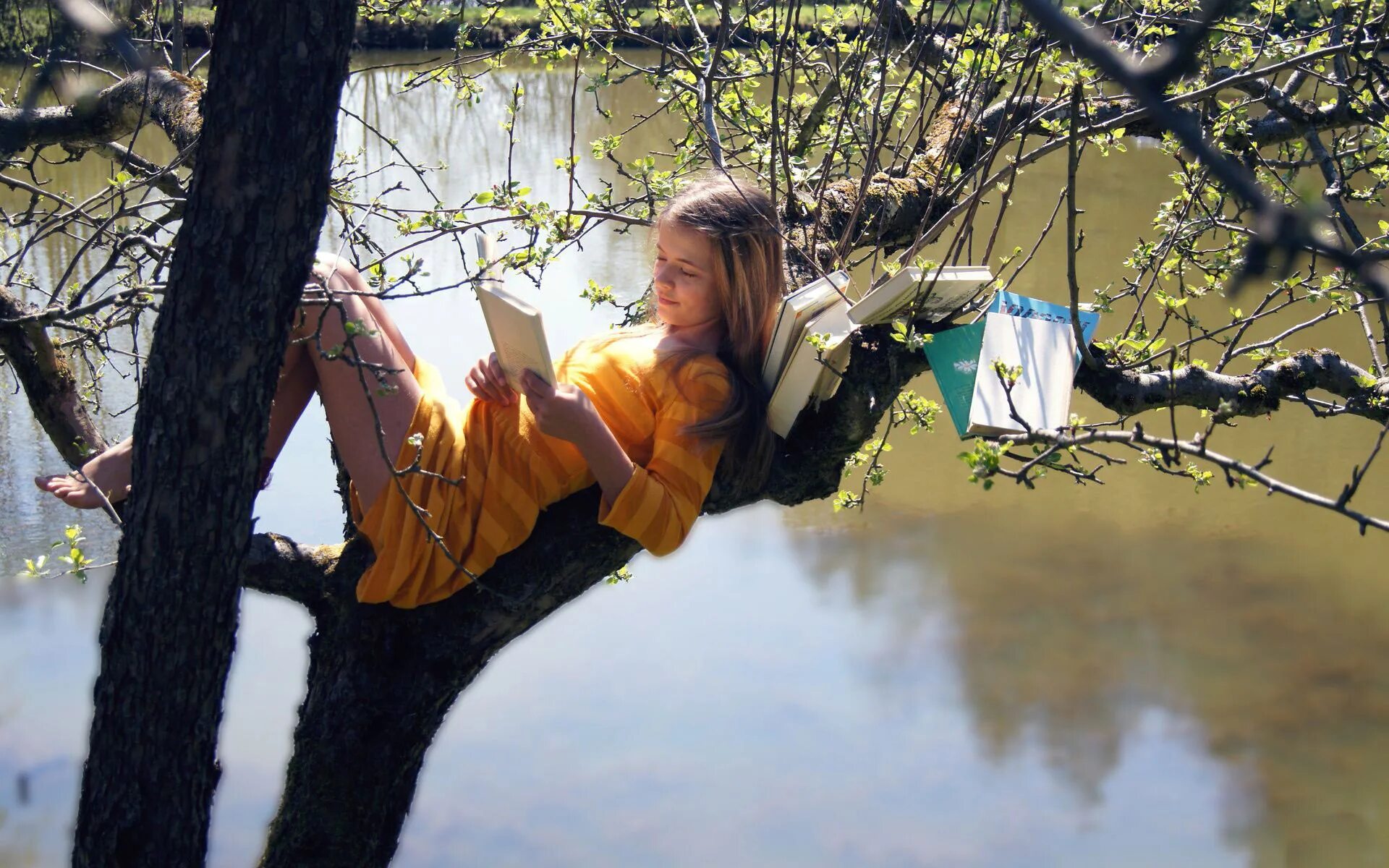 Весенние фотосессии на природе. Девочка на дереве. Девушка дерево. Фотосессия на природе весной. Видит сидит на дереве