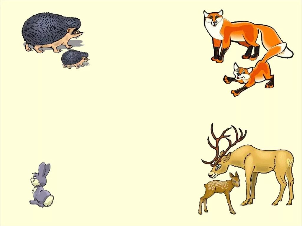 четвертый лишний дикие животные. картинки по теме дикие животные. дикие животные для детей. жители леса. картинки по теме дикие животные.