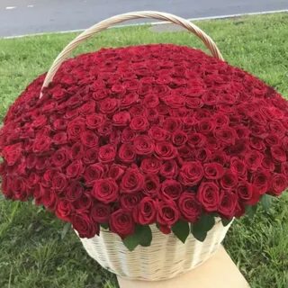 Закажите 251 роза в корзине №161 в нашем магазине 💐 Свежие цветы ✔ Гаранти...