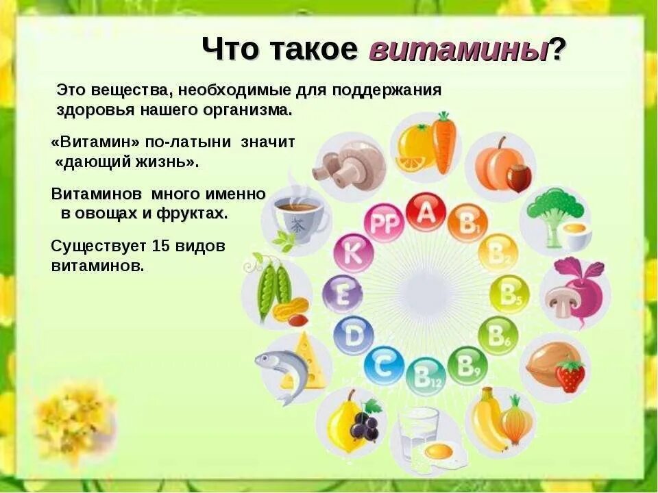Фрукты исследовательская работа