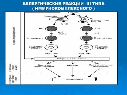 Реакция 3