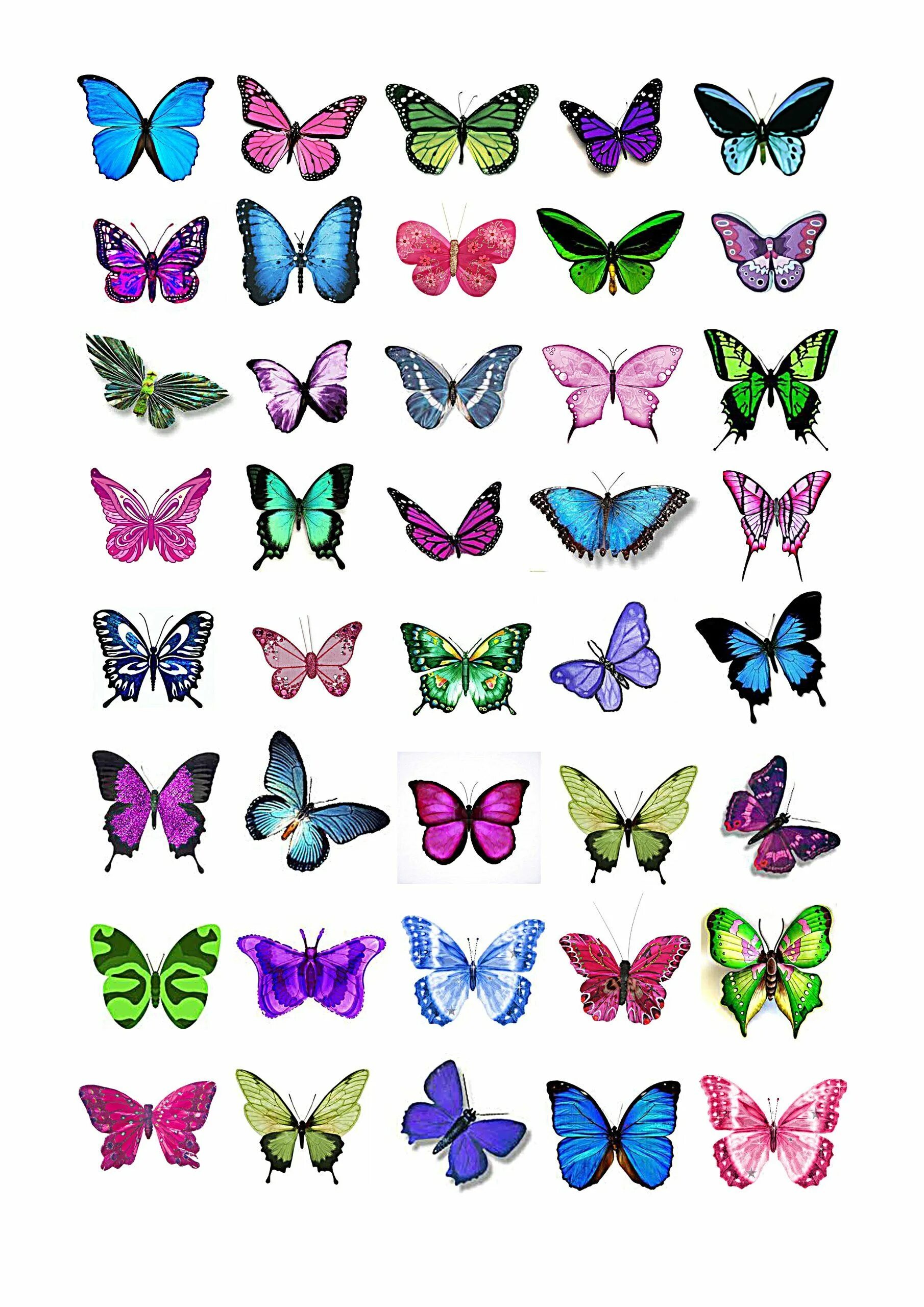 Бабочки цветные. Бабочки для распечатывания цветные. Бабочки для вырезания цветные. Бабочки для вырезания цветные маленькие. Бабочки для торта картинки для печати