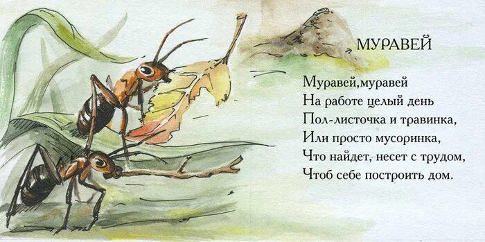 Сказочная история про муравьев. Стихотворение про муравья. Стих про муравья. Стих про муравьишку. Стихи про муравьев.