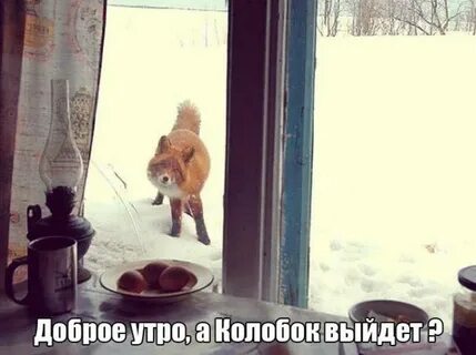 Прикольное холодное утро