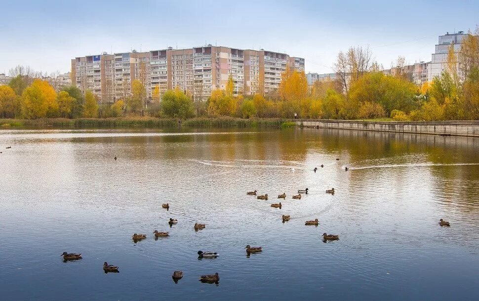 Ук озеро нижний. Мещерское озеро Нижний Новгород. Микрорайон Мещера Нижний Новгород. Мещерское озеро (микрорайон). Микрорайон Мещерское озеро Нижний Новгород.