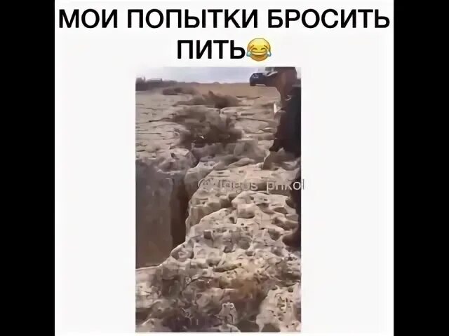 Все мои попытки. Все мои попытки