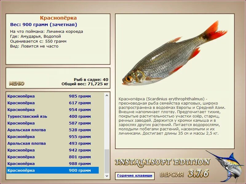 Красноперка вес. Русская рыбалка. Рыбы в русской рыбалке. Где поймать рыбу. Какая рыба лучше ловится