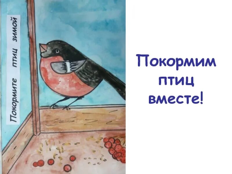 Алексеев вместе с птицами. Покормите птиц зимой. Акция Покормите птиц зимой. Акция покормим птиц вместе. Рисунок Покормите птиц.