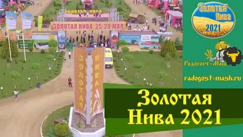 Золотая нива маршрут