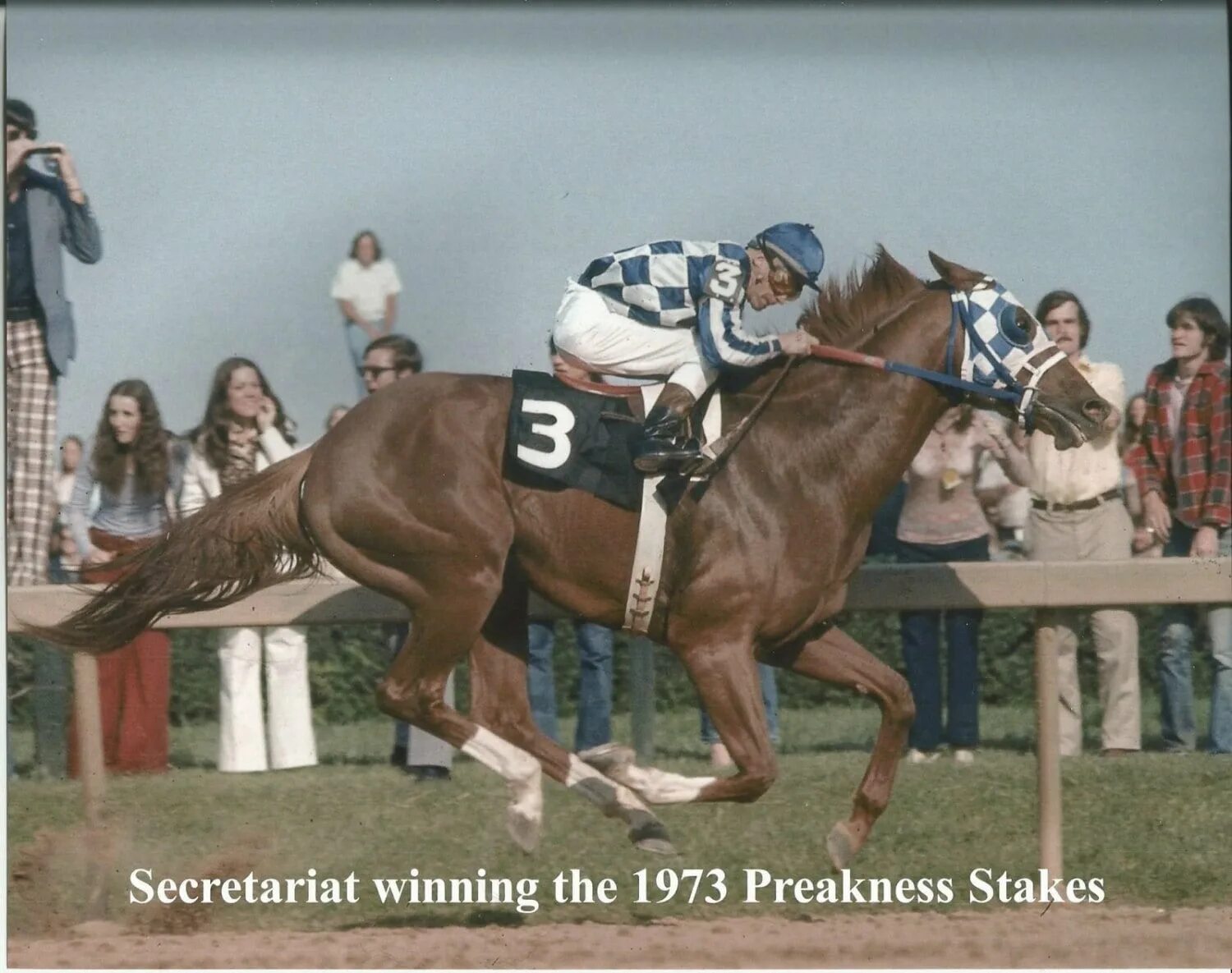 Номер секретариата. Жокей на секретариате. Секретариат Белмонт Стейкс. Secretariat Preakness stakes. Belmont stakes 1973.