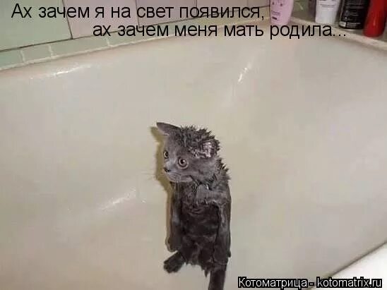 Ах зачем я на свет появился текст. Ах зачем я на свет появился текст. По приютам я с детства скитался. Ах зачем я на свет появился текст. Ах зачем я на свет появился текст.