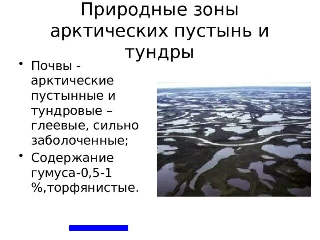 Характеристика почв арктических пустынь. Почвы арктических пустынь 8 класс. Арктические пустыни почвы. Арктические и тундровые глеевые почвы. Природные зоны Арктики и Субарктики.