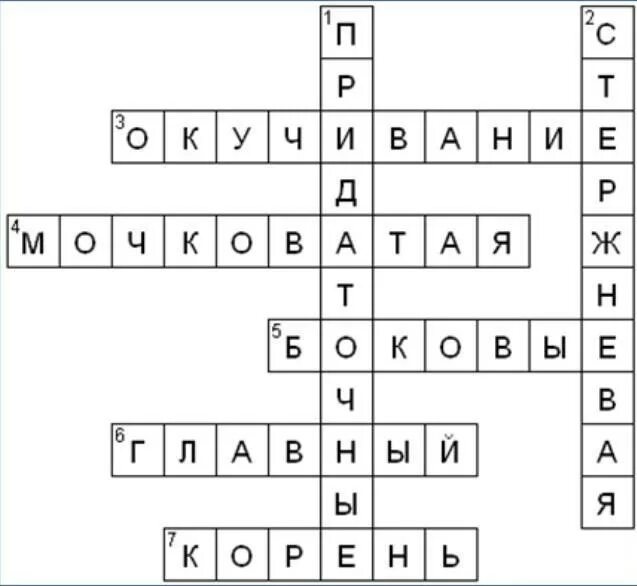 Кроссворд по биологии 6 класс по теме цветок и его строение. Кроссворд семейство крестоцветные. Биология 6 класс кроссворд на тему растения. Кроссворд по биологии Однодольные растения.