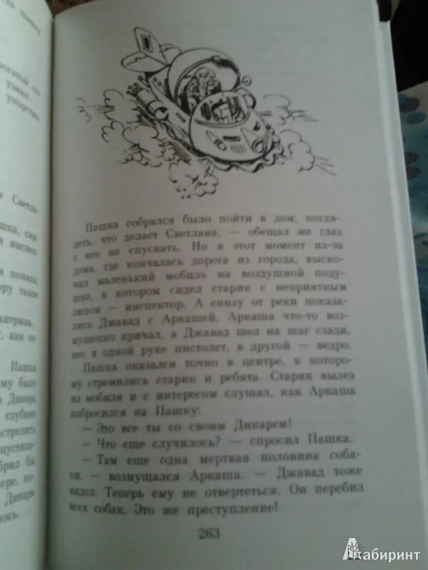 Краткое содержание рассказа миллион приключений. Миллион приключений Алисы.