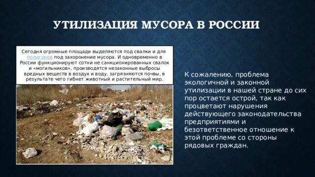 Творческая работа "Мусор, как основная экологическая проблема наших дней.
