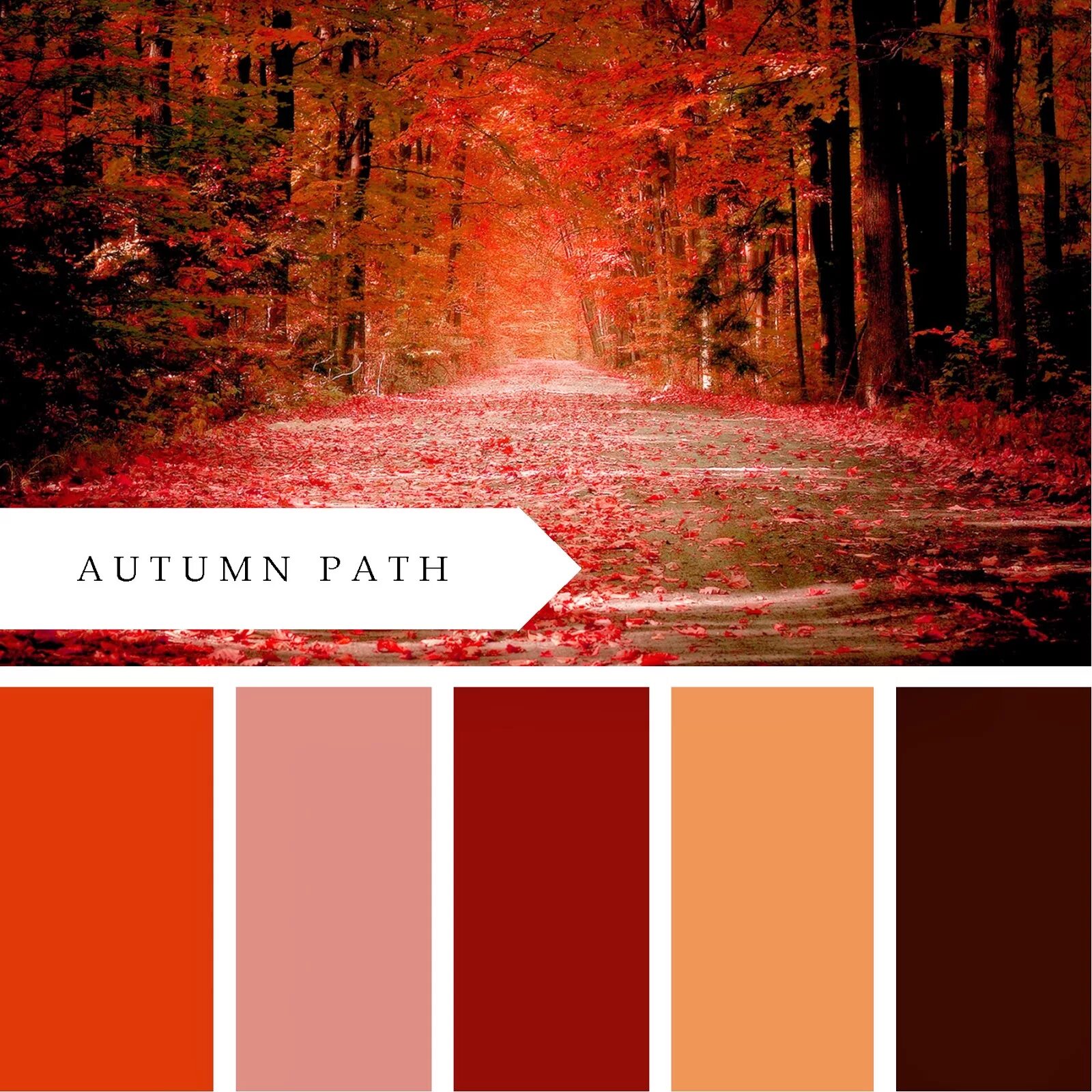 Палитра осени. Цветовые сочетания. Осенняя цветовая палитра. Сочетание цветов с коричневым. Помню кирпично красный