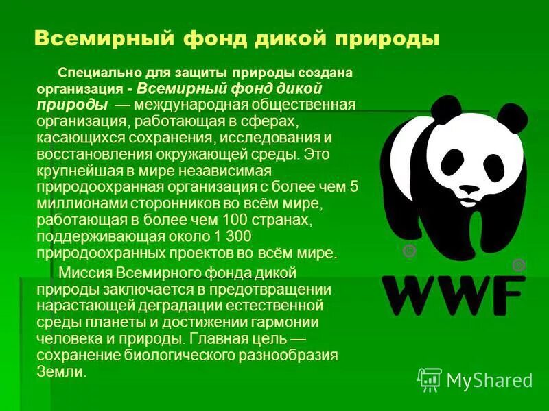 Международная информация работа. Работа международных экологических организаций.