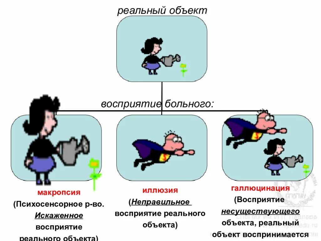 Эффекты ощущений. Восприятие презентация. Расстройства восприятия иллюзии. Расстройство восприятия презентация. Объект восприятия.