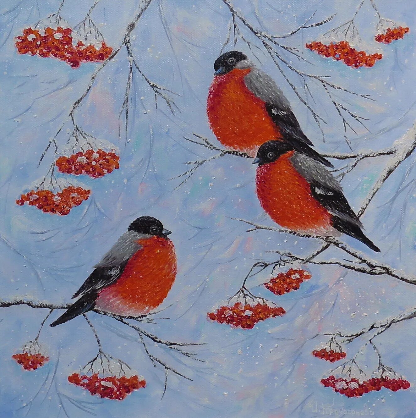 картина снегири на ветке. зимний пейзаж с синицами. художник kim norlien. картины зимних птиц. зимующие птицы картины художников.
