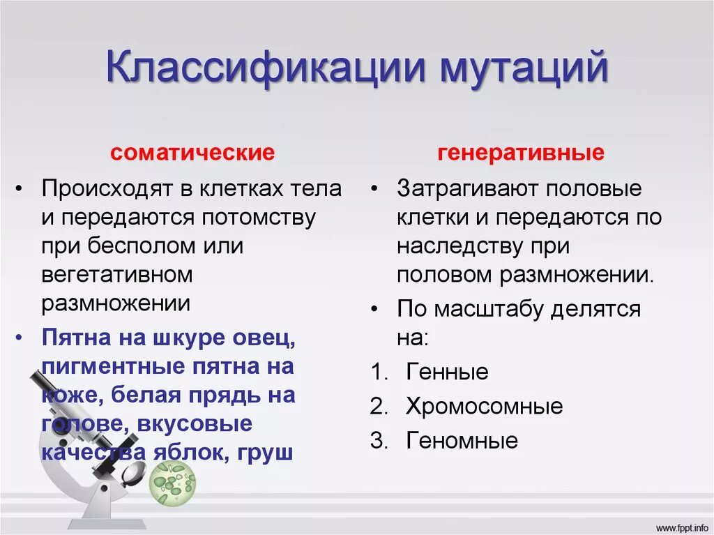 Свойство организма передавать свои признаки потомству. Классификация мутаций соматические и генеративные. Характеристика соматических и генеративных мутаций. Соматические и генеративные мутации таблица. Соматические и генеративные мутации примеры.