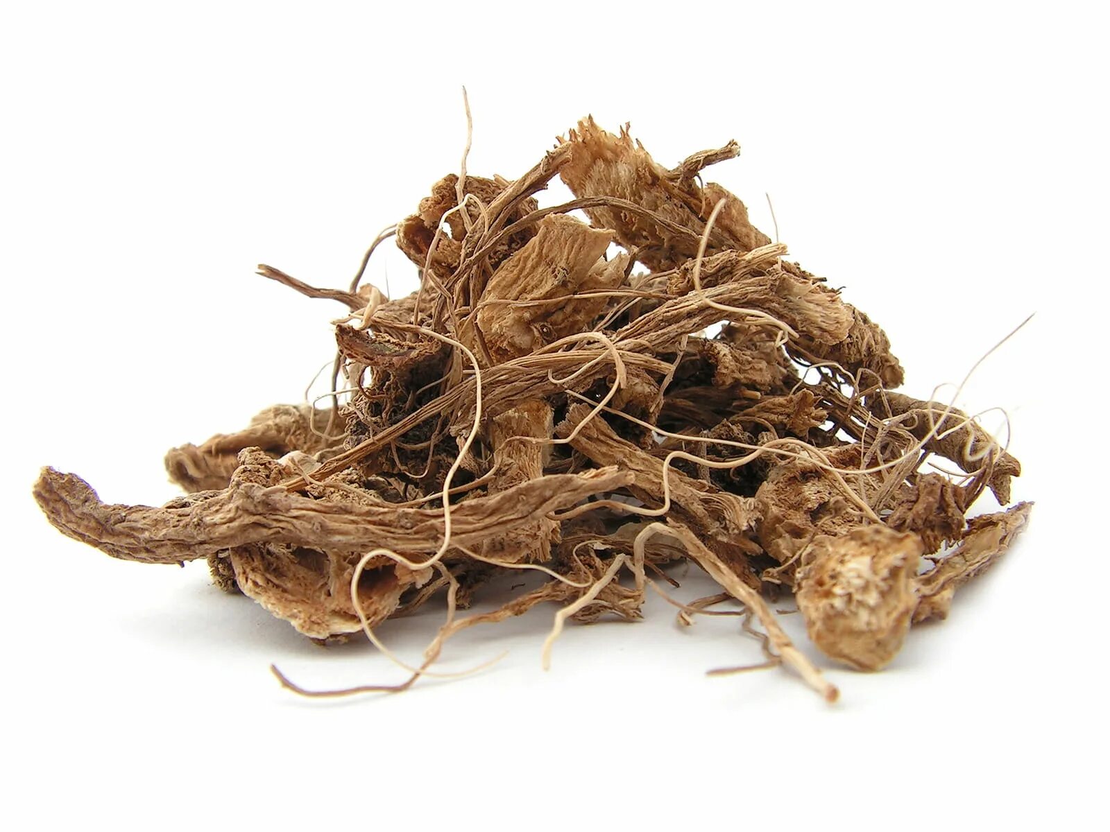 Корень копытня. Хрен растение корень. Девясила корневища и корни. Магония корни корень. Корешки.